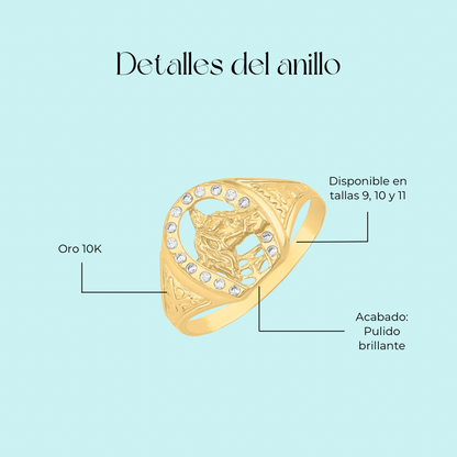 Anillo Modelo 1776 en Oro amarillo de 10k